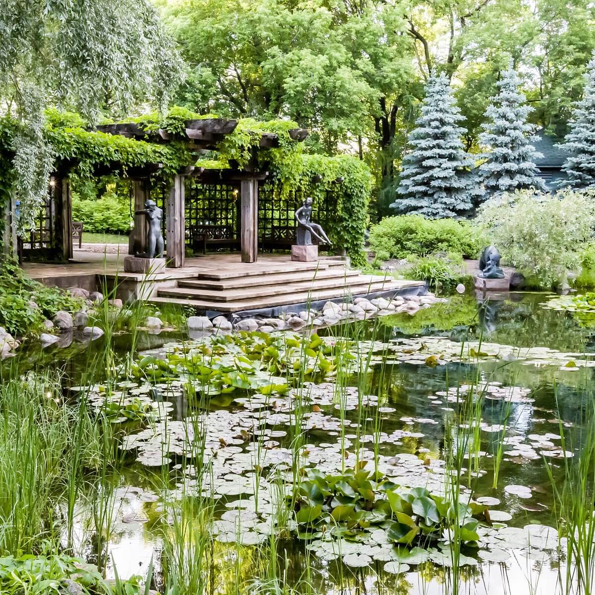 pond