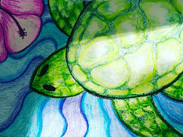 Turtle